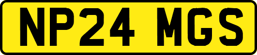 NP24MGS