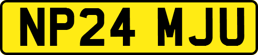 NP24MJU