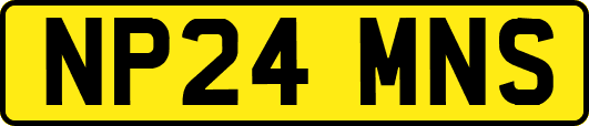 NP24MNS