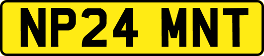 NP24MNT
