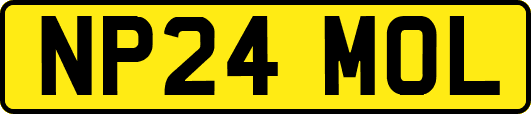NP24MOL