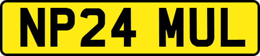 NP24MUL