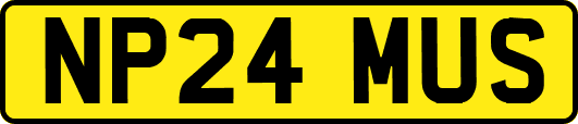 NP24MUS