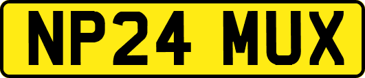 NP24MUX