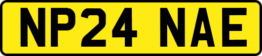 NP24NAE