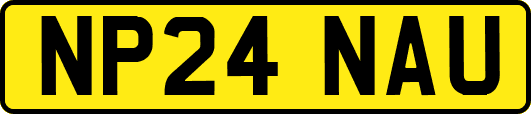 NP24NAU