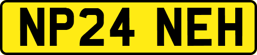 NP24NEH