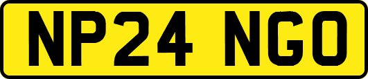 NP24NGO