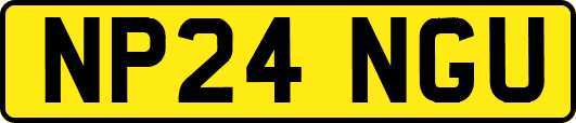NP24NGU