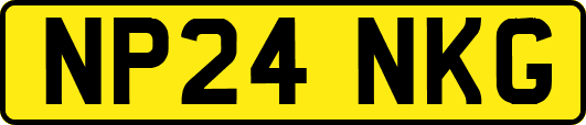 NP24NKG