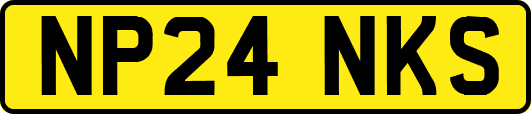 NP24NKS
