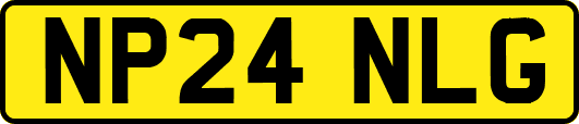 NP24NLG