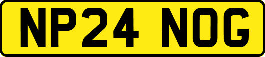 NP24NOG