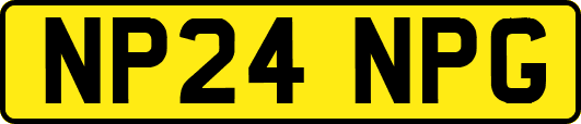 NP24NPG