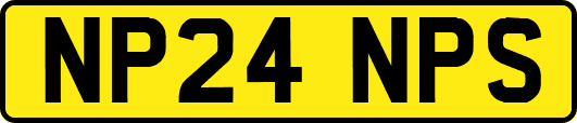 NP24NPS