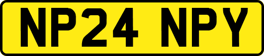 NP24NPY
