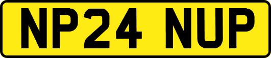 NP24NUP