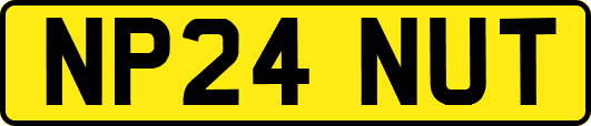 NP24NUT