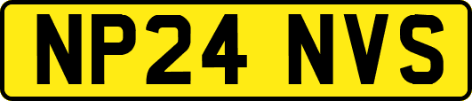 NP24NVS