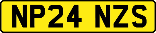 NP24NZS