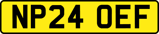 NP24OEF