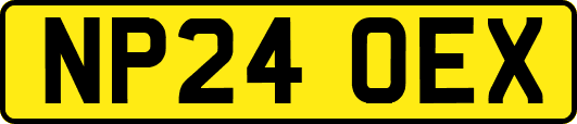NP24OEX