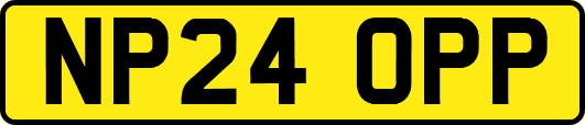 NP24OPP