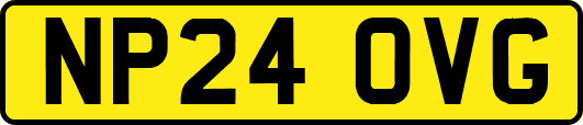 NP24OVG