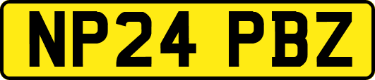 NP24PBZ
