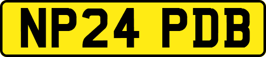 NP24PDB