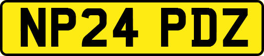 NP24PDZ