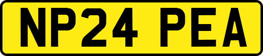 NP24PEA