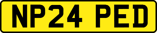 NP24PED