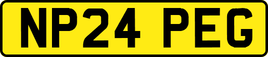 NP24PEG
