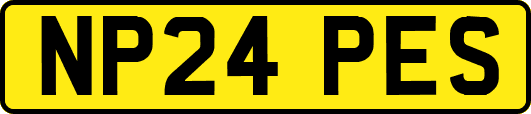 NP24PES
