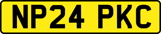 NP24PKC
