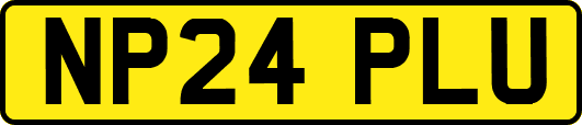 NP24PLU