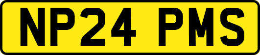 NP24PMS