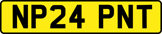 NP24PNT