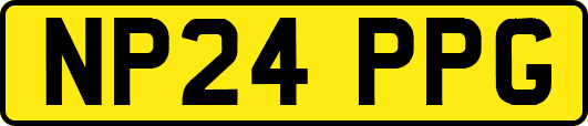 NP24PPG