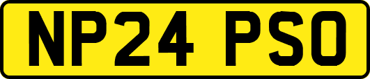 NP24PSO
