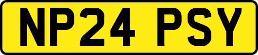NP24PSY