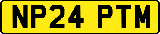 NP24PTM