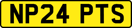 NP24PTS