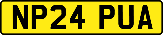 NP24PUA