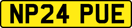 NP24PUE