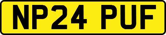 NP24PUF