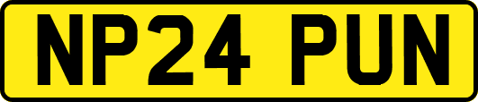 NP24PUN