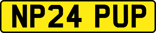 NP24PUP