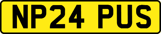 NP24PUS